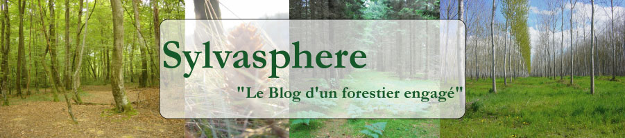 Sylvasphere