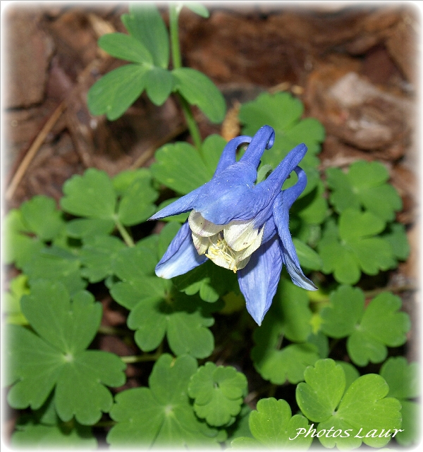 Image hébergée par Casimages.com : votre hébergeur d images simple et gratuit