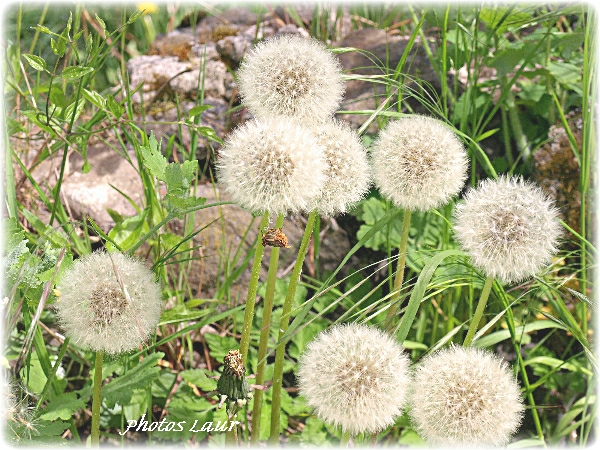 Image hébergée par Casimages.com : votre hébergeur d images simple et gratuit