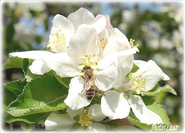 Image hébergée par Casimages.com : votre hébergeur d images simple et gratuit
