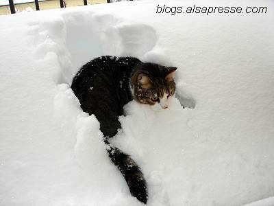 Image hébergée par Casimages.com : votre hébergeur d images simple et gratuit