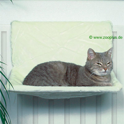 Image hébergée par Casimages.com : votre hébergeur d images simple et gratuit