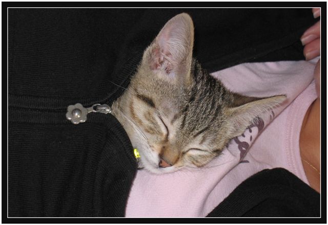 Image hébergée par Casimages.com : votre hébergeur d images simple et gratuit
