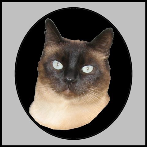 Image hébergée par Casimages.com : votre hébergeur d images simple et gratuit