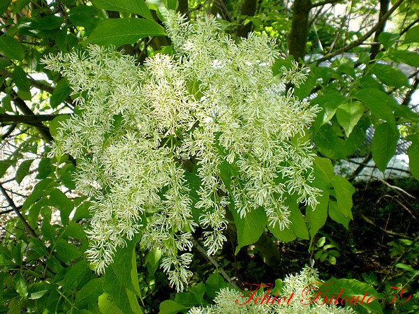 Image hébergée par Casimages.com : votre hébergeur d images simple et gratuit