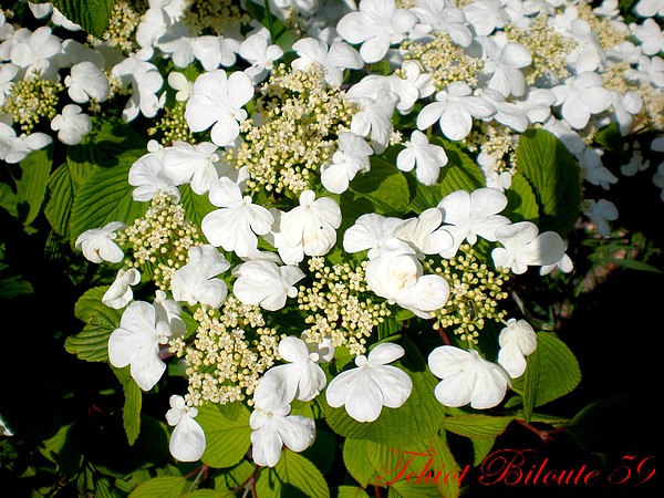 Image hébergée par Casimages.com : votre hébergeur d images simple et gratuit