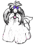 Image h�berg�e par Casimages.com : votre h�bergeur d images simple et gratuit