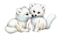 Image hébergée par Casimages.com : votre hébergeur d images simple et gratuit