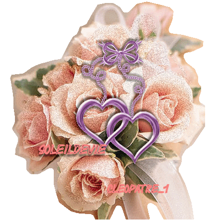 Image hébergée par Casimages.com : votre hébergeur d images simple et gratuit