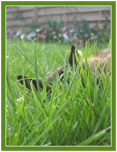 Image hébergée par Casimages.com : votre hébergeur d images simple et gratuit