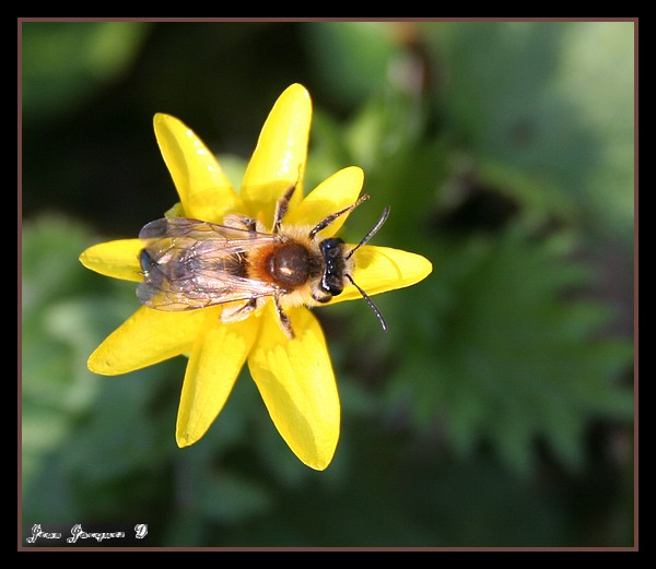 Image hébergée par Casimages.com : votre hébergeur d images simple et gratuit