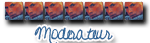 Modérateur Modérateur