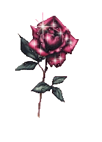 Image hébergée par Casimages.com : votre hébergeur d images simple et gratuit