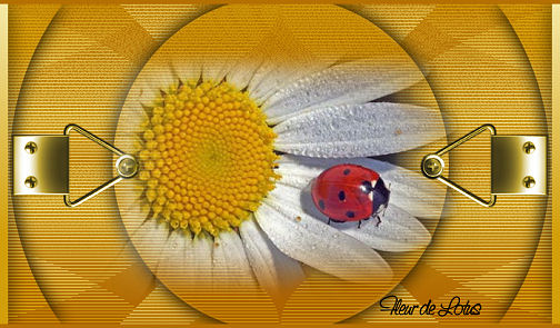 Image hébergée par Casimages.com : votre hébergeur d images simple et gratuit