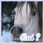 Qui est en ligne ?