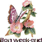 Image hébergée par Casimages.com : votre hébergeur d images simple et gratuit