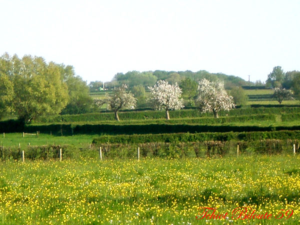 Image hébergée par Casimages.com : votre hébergeur d images simple et gratuit