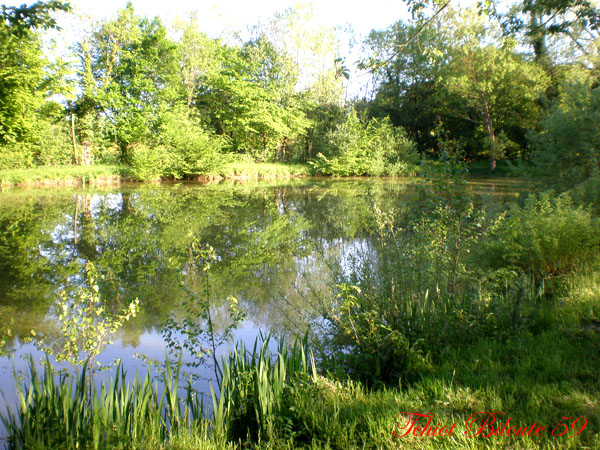 Image hébergée par Casimages.com : votre hébergeur d images simple et gratuit