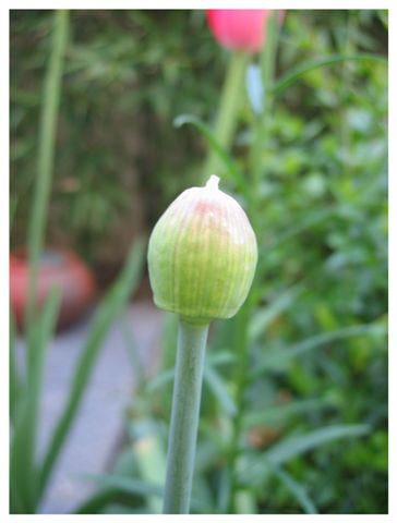 Image hébergée par Casimages.com : votre hébergeur d images simple et gratuit
