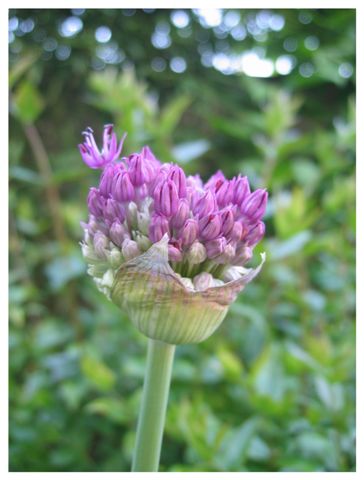 Image hébergée par Casimages.com : votre hébergeur d images simple et gratuit