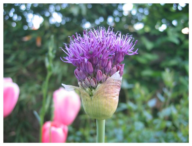 Image hébergée par Casimages.com : votre hébergeur d images simple et gratuit
