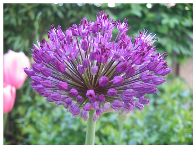 Image hébergée par Casimages.com : votre hébergeur d images simple et gratuit