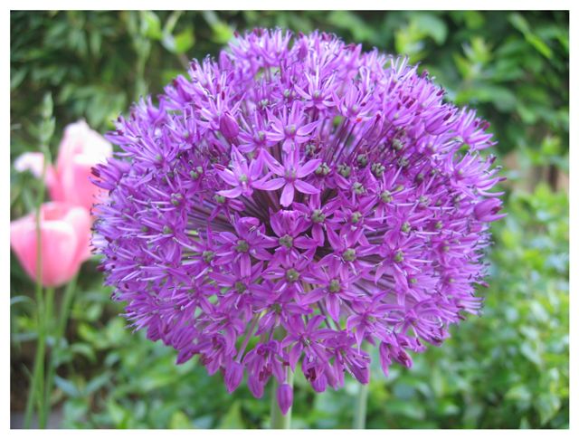 Image hébergée par Casimages.com : votre hébergeur d images simple et gratuit
