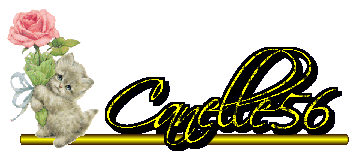 Image hée par Casimages.com : votre hébergeur d images simple et gratuit