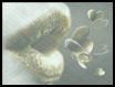 Image hébergée par Casimages.com : votre hébergeur d images simple et gratuit