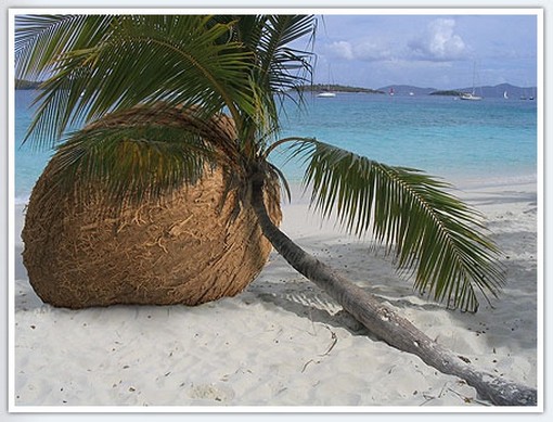 Image h&eacute;berg&eacute;e par Casimages.com : votre h&eacute;bergeur d images simple et gratuit