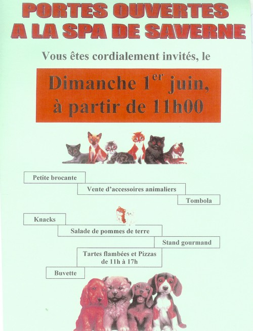 Image h�berg�e par Casimages.com : votre h�bergeur d images simple et gratuit