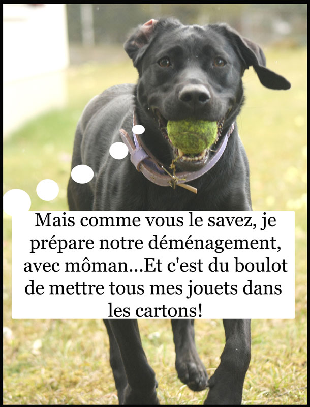 Image h�berg�e par Casimages.com : votre h�bergeur d images simple et gratuit