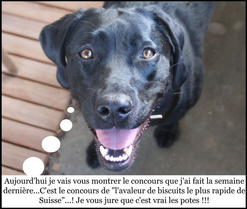 Image h�berg�e par Casimages.com : votre h�bergeur d images simple et gratuit