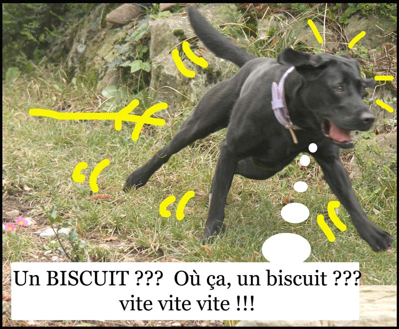 Image h�berg�e par Casimages.com : votre h�bergeur d images simple et gratuit