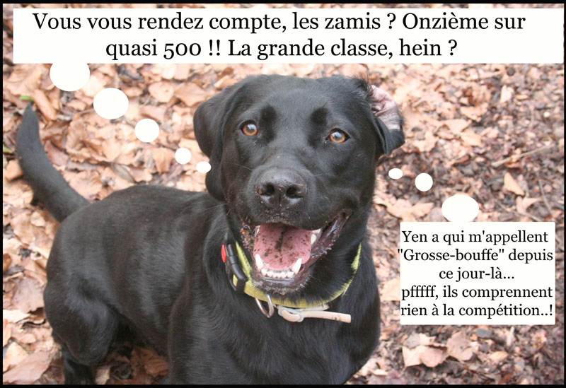 Image h�berg�e par Casimages.com : votre h�bergeur d images simple et gratuit