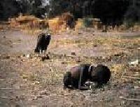 Hebergement gratuit d image et photo
