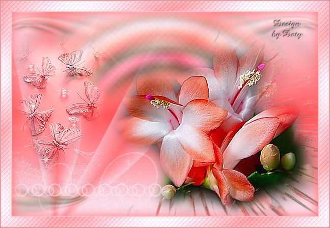 Image hébergée par Casimages.com : votre hébergeur d images simple et gratuit