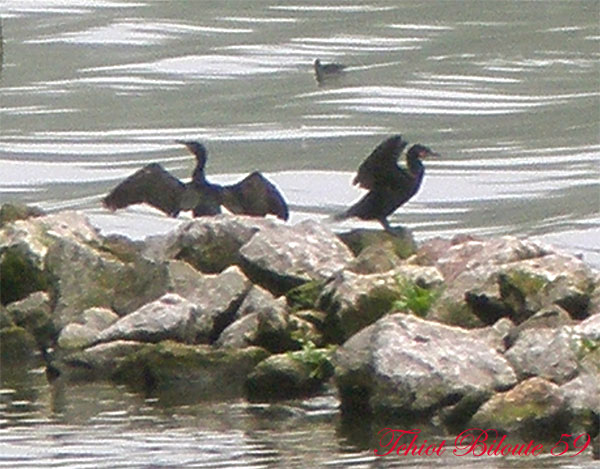 Image hébergée par Casimages.com : votre hébergeur d images simple et gratuit