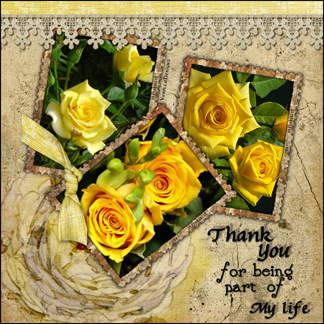 Image hébergée par Casimages.com : votre hébergeur d images simple et gratuit