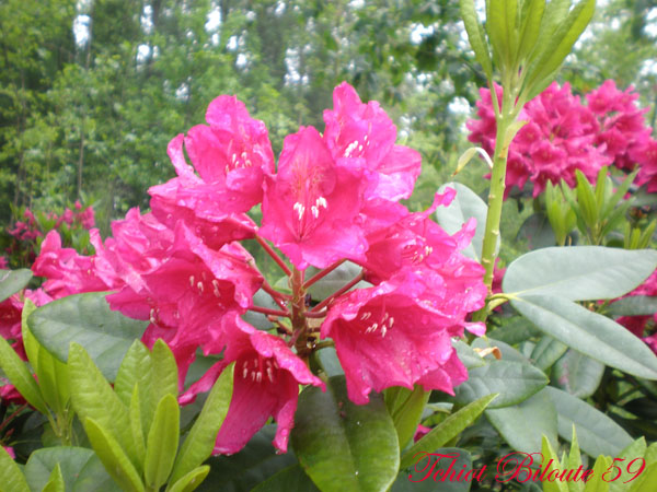 Image hébergée par Casimages.com : votre hébergeur d images simple et gratuit