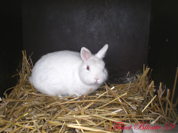 Image hébergée par Casimages.com : votre hébergeur d images simple et gratuit