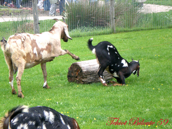 Image hébergée par Casimages.com : votre hébergeur d images simple et gratuit