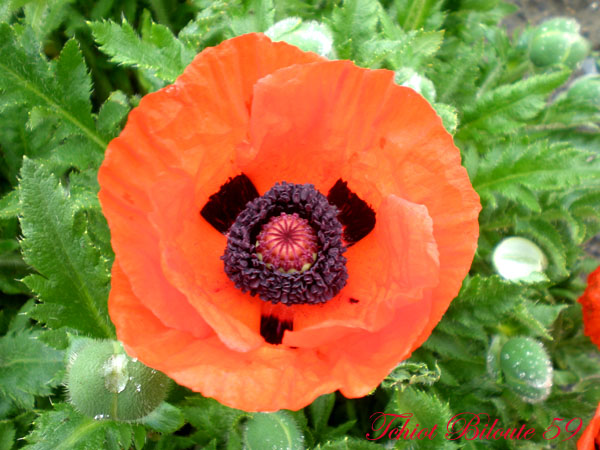Image hébergée par Casimages.com : votre hébergeur d images simple et gratuit
