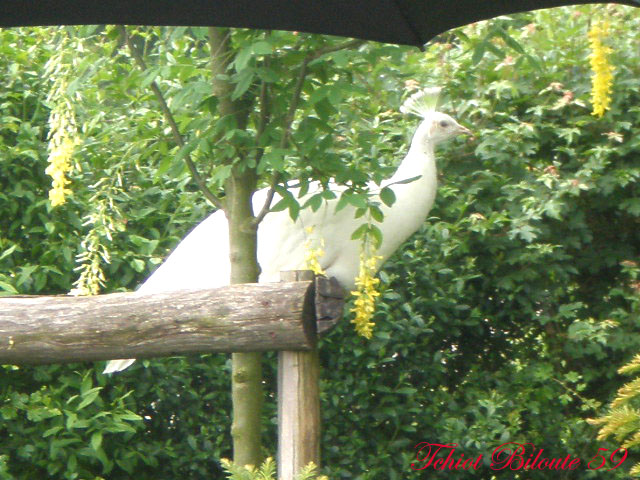 Image hébergée par Casimages.com : votre hébergeur d images simple et gratuit