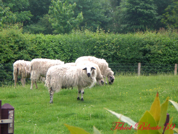 Image hébergée par Casimages.com : votre hébergeur d images simple et gratuit
