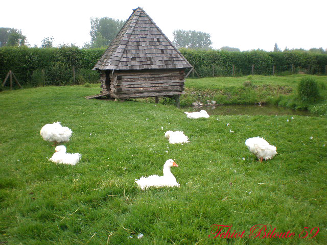 Image hébergée par Casimages.com : votre hébergeur d images simple et gratuit