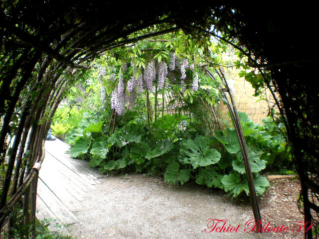 Image hébergée par Casimages.com : votre hébergeur d images simple et gratuit