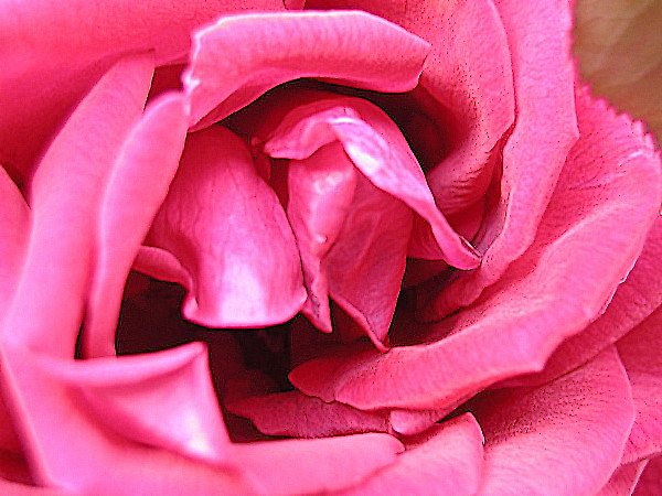 Image hébergée par Casimages.com : votre hébergeur d images simple et gratuit