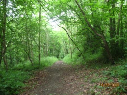 Image h�berg�e par Casimages.com : votre h�bergeur d images simple et gratuit