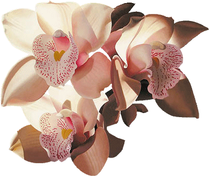 Image hébergée par Casimages.com : votre hébergeur d images simple et gratuit